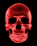 pic for Skull Scanner